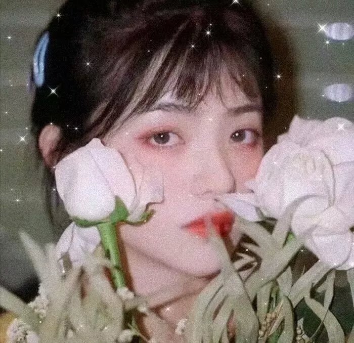 烽火血泪美人恩